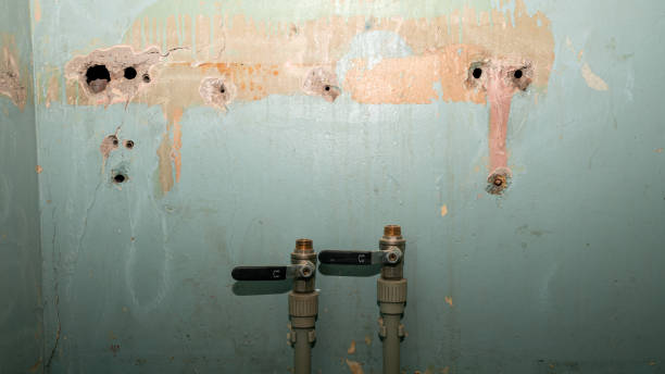 Best Water damage cleanup near me  in Kensett, AR