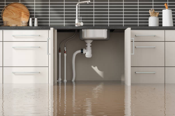 Best Professional water damage repair  in Kensett, AR
